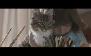 A Cat Did Something Amazing, And It Became A Short Film