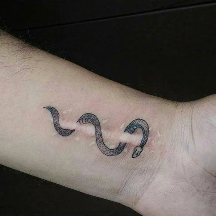 Tattoo of a snake skillfully integrates with a scar on an arm, transforming it into art.