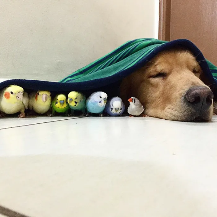 Guess They Haven't Decided To Tell Him He's Adopted Yet