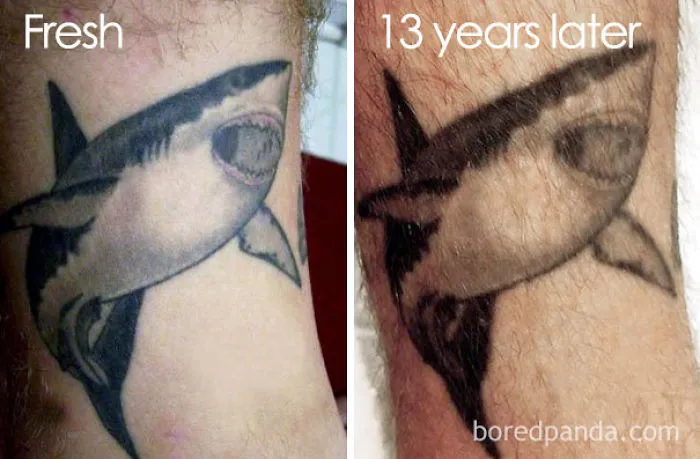 Aged Shark Tattoo