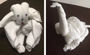 My Dad Went To Chile, And His Hotel Had The Most Awesome Maid