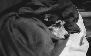 I Hoped To Photograph A Miracle, But Instead, I Captured My Hardest Goodbye