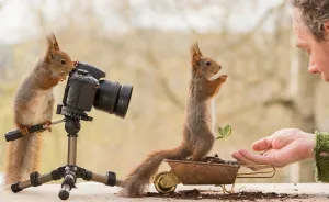 I've Been Shooting Wild Squirrels For 4 Years And They Finally Shot Me Back