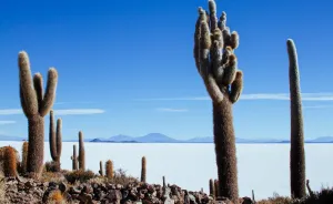 Not Only Salar De Uyuni - I Traveled Bolivia Off The Beaten Track