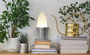 We Designed Wall Lamps That Turn Into Cactuses When Switched On