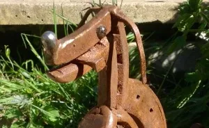 Introducing Henry, The Horseshoe Hound Raising Funds For Dog Rescue