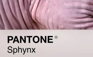 Cat Breeds As Pantone