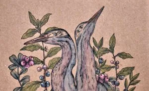 I Draw Animals With A Little Dose Of Magic