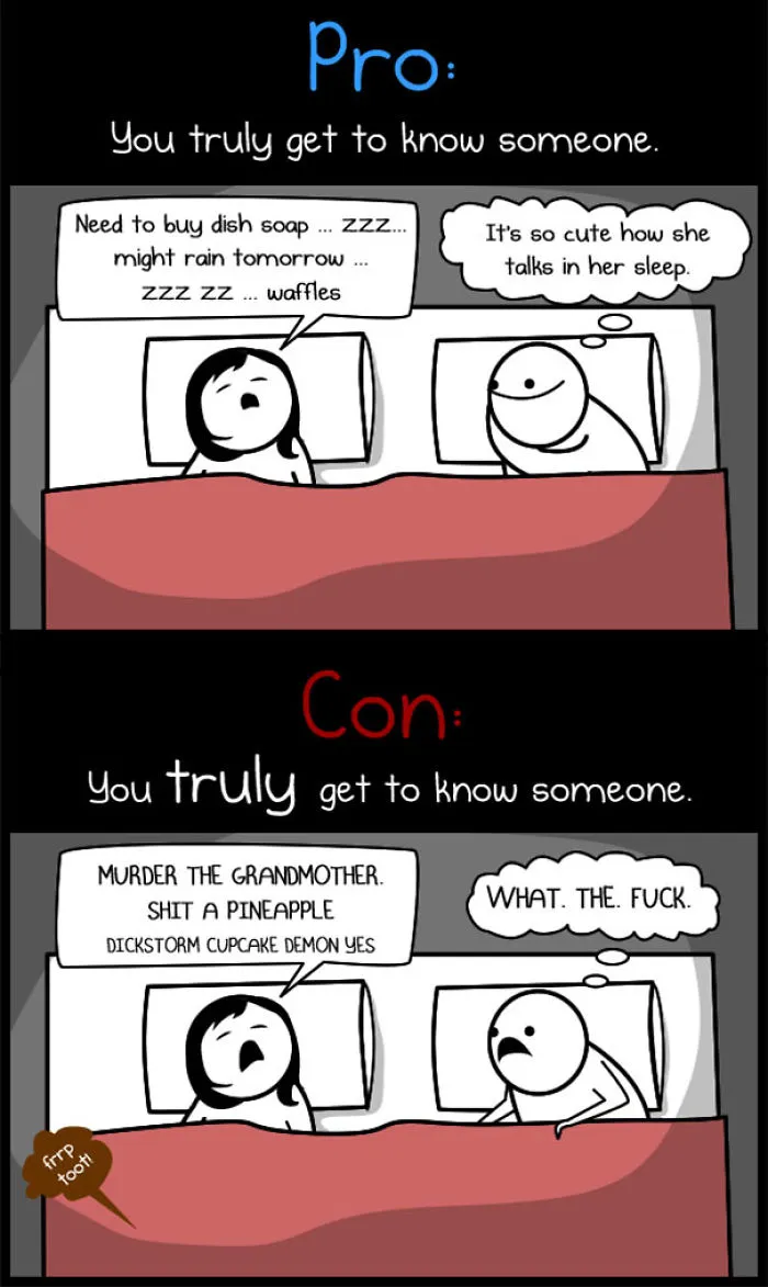 The Pros And Cons Of Living With Your Significant Other By Oatmeal