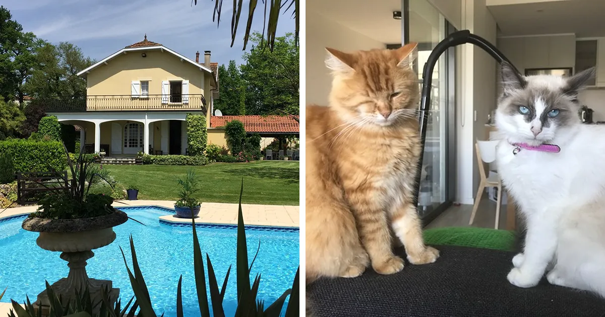Esta web te permite viajar por el mundo si aceptas cuidar de las mascotas de otras personas