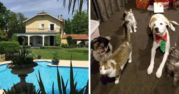 This Website Lets You Travel Around The World If You Agree To Take Care Of Other People's Pets
