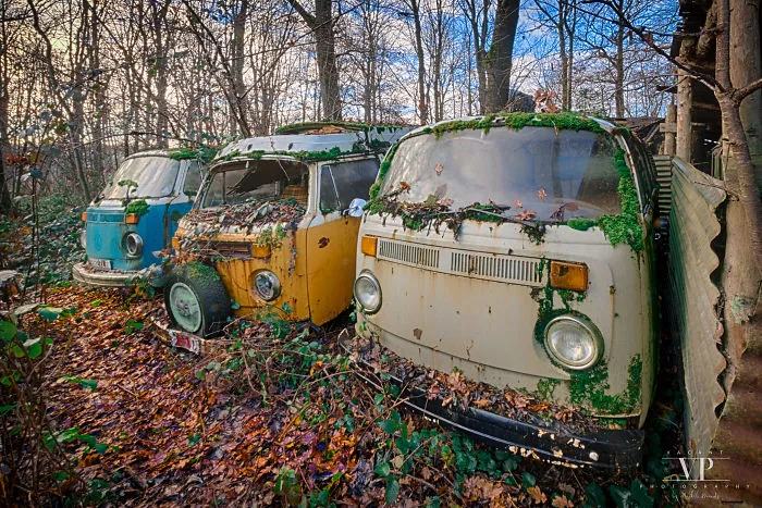 I Photographed Old Cars Lost In The Woods