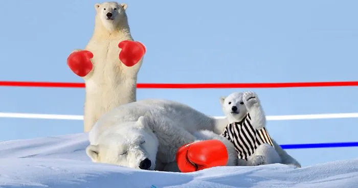 Polar Bear Cub Waves To Say 'Hi' To The Photographer, Inspires A Hilarious Photoshop Battle