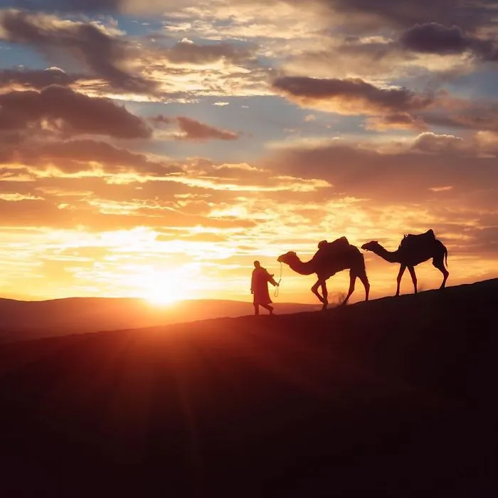 Saharan Desert