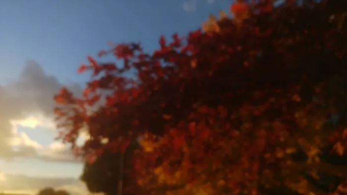I Knocked My Camera Out Of Focus For A Whole Album.