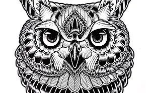 Owl By Mc Starck