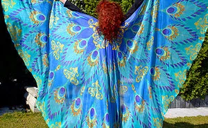 Silk Wings
