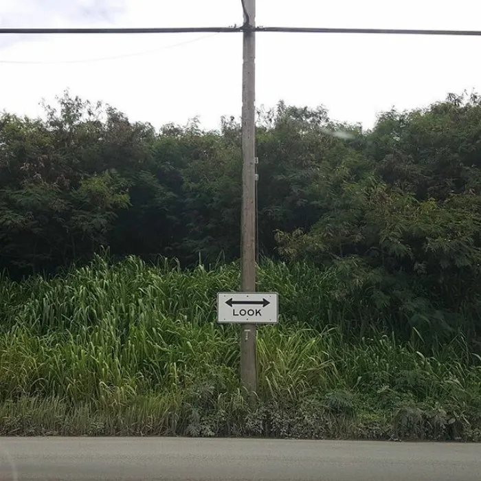 111 Obvious Signs Humanity Is Regressing