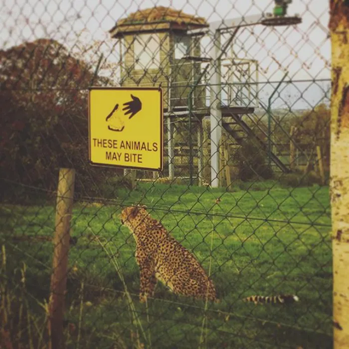 111 Obvious Signs Humanity Is Regressing