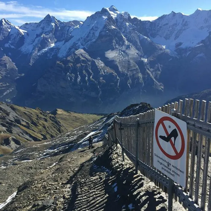 111 Obvious Signs Humanity Is Regressing