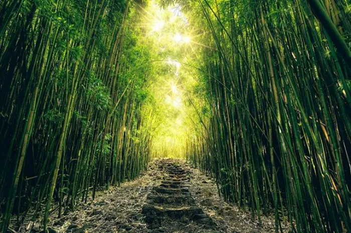 Maui