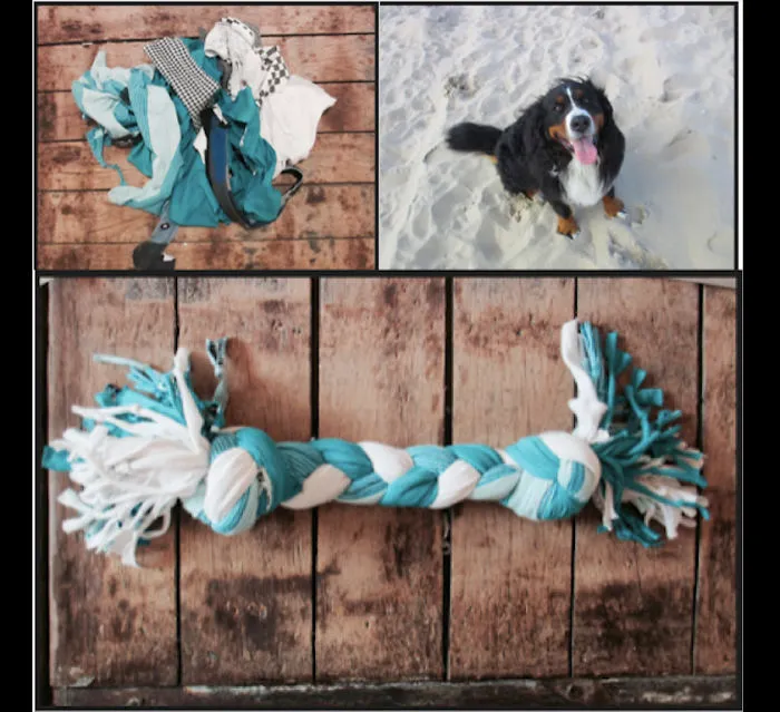 Since Our Dog Shreds All The Store-bought Toys We Give Her, We Decided To Make Them From Old T-shirt Rags Instead. That's One Happy Ol' Pupper!