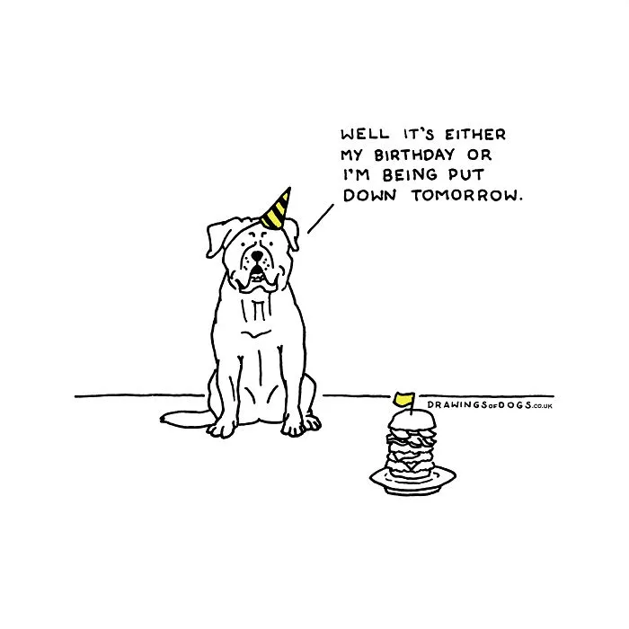 After My Anxiety Forced Me To Drop Out Of A Philosophy PhD I Started Drawing Dog Comics