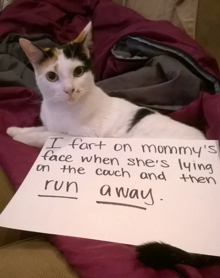 I Fart On Mommy's Face