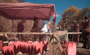 Infrared May Tree Celebration