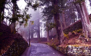 Japanese Temples Surrounded By Mist