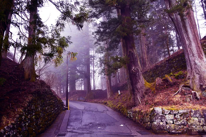 Japanese Temples Surrounded By Mist