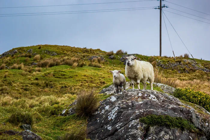 Driving The Wild Atlantic Way In Ireland Felt Like Checking An Important Bucket-List-Item