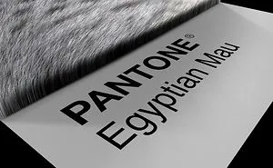 Cat Breeds As Pantone