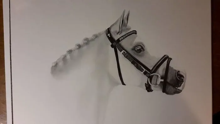 Graphite Pencils......