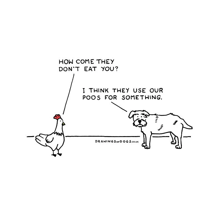 After My Anxiety Forced Me To Drop Out Of A Philosophy PhD I Started Drawing Dog Comics