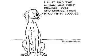 After My Anxiety Forced Me To Drop Out Of A Philosophy PhD I Started Drawing Dog Comics