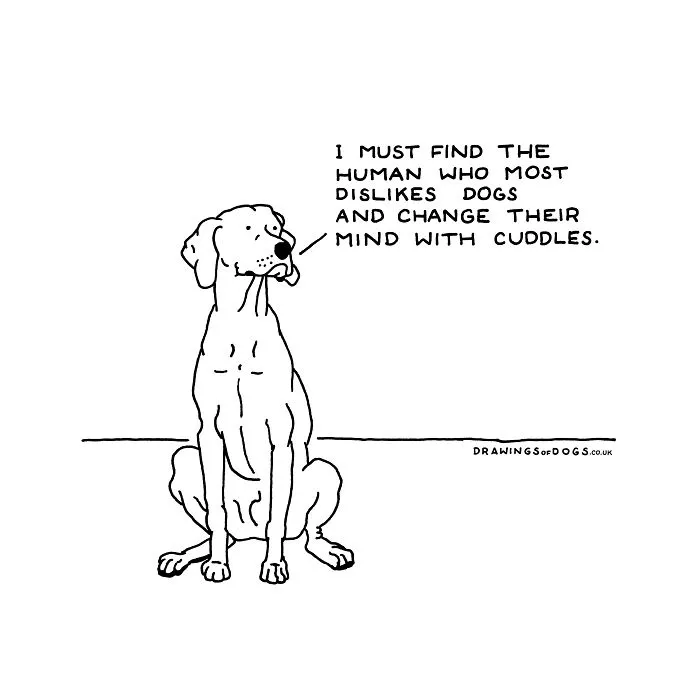 After My Anxiety Forced Me To Drop Out Of A Philosophy PhD I Started Drawing Dog Comics