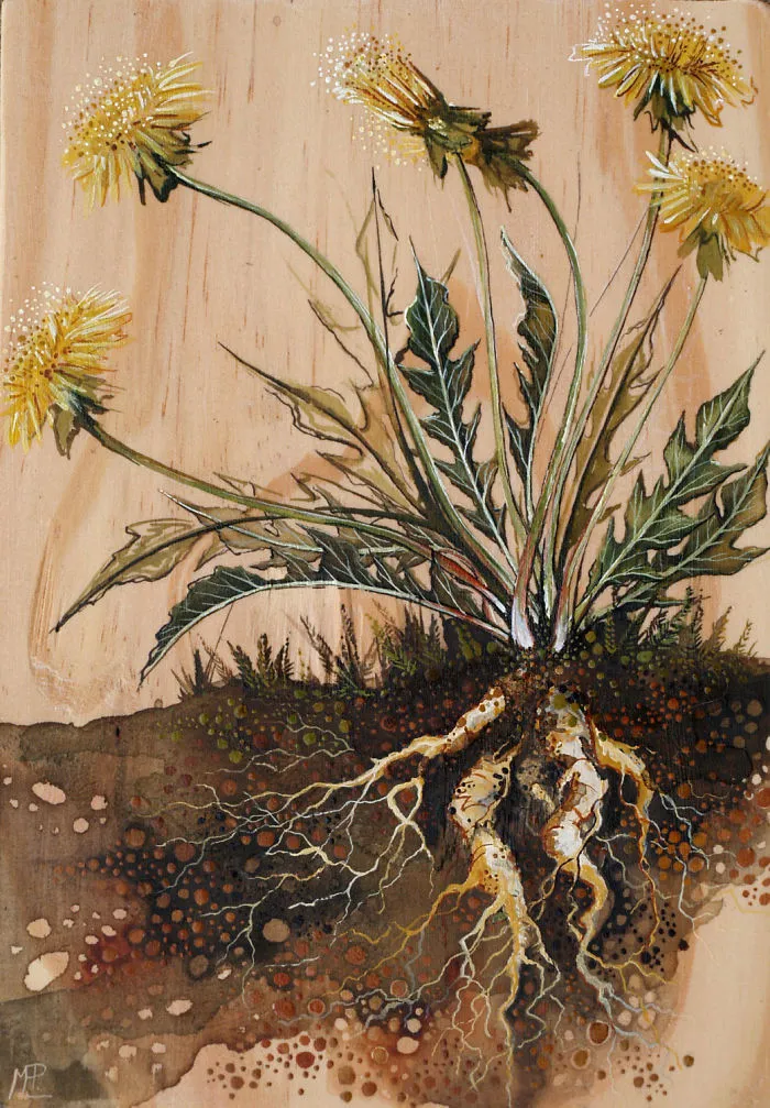 I Create Watercolor Paintings On Wood To Show My Love For Nature