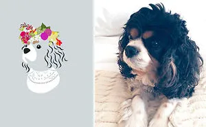 What If Dogs Dressed According To Their Personality