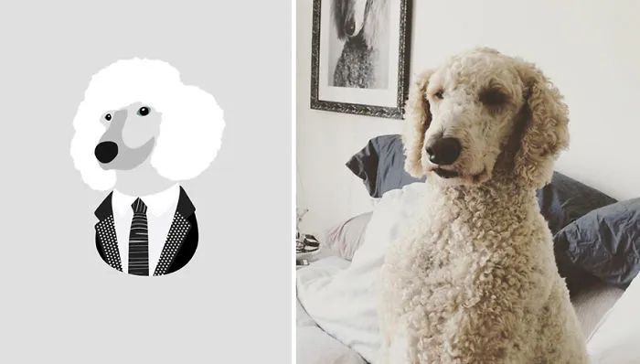 Rufus, He Is Extremely Chilled, Relaxed And Super Cool. He's Just Like Ryan Gosling But With Afro Hair