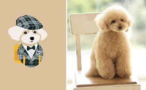 What If Dogs Dressed According To Their Personality