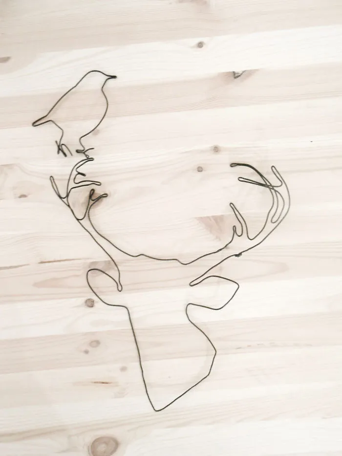 I "Draw" Using Wire