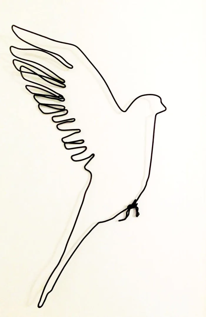 I "Draw" Using Wire