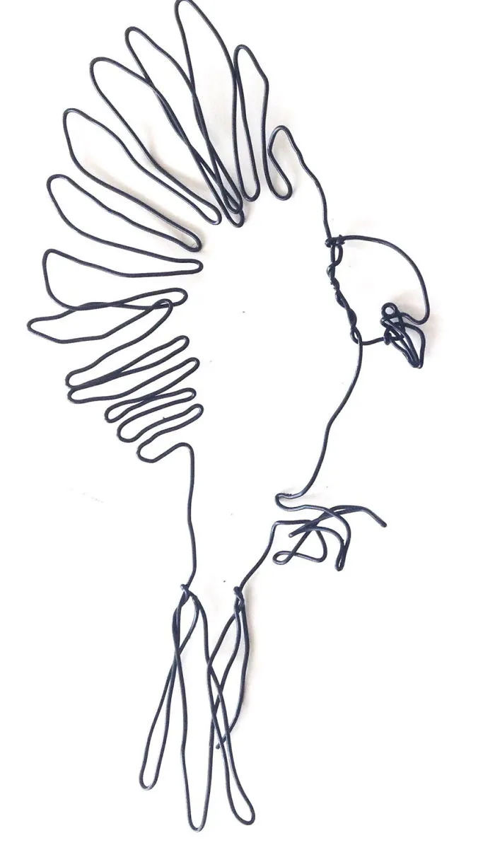 I "Draw" Using Wire