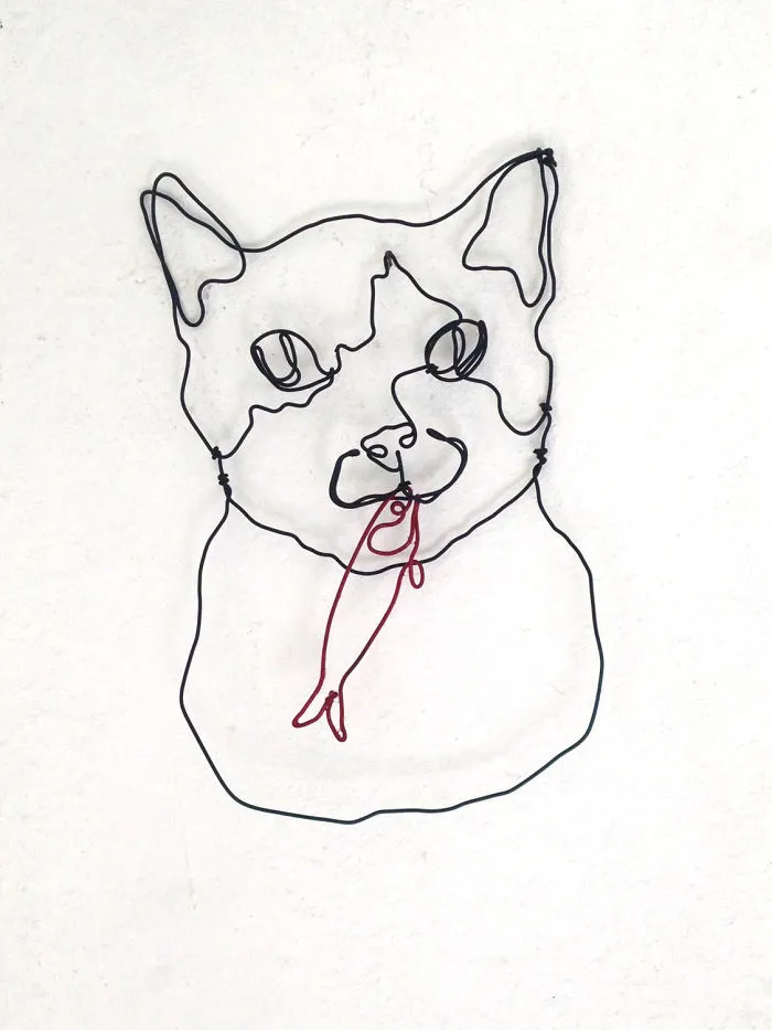 I "Draw" Using Wire