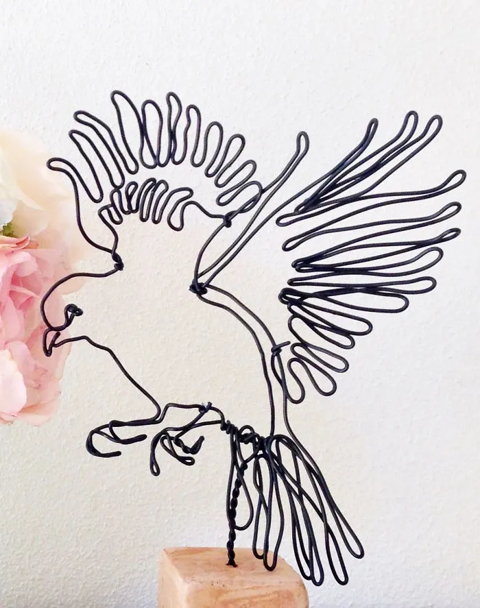 I "Draw" Using Wire