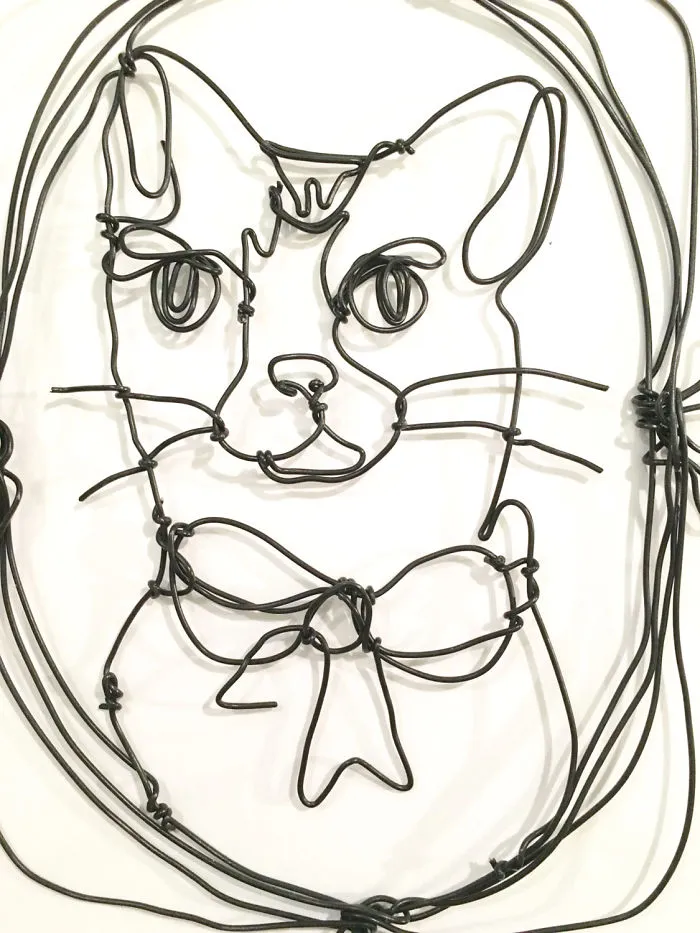 I "Draw" Using Wire