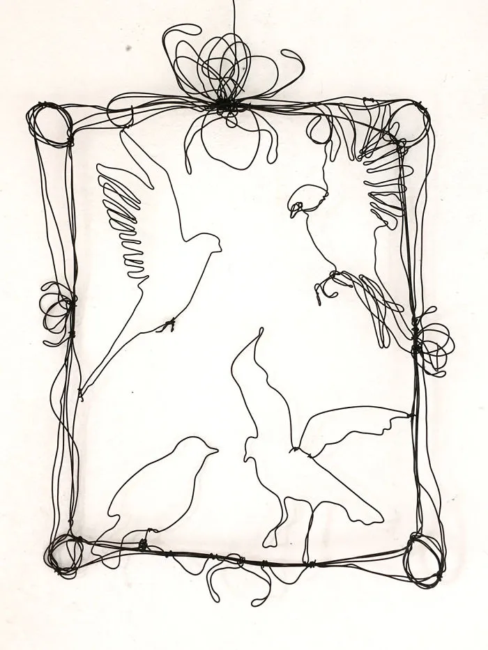 I "Draw" Using Wire
