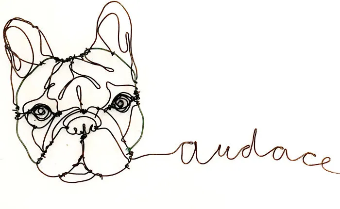 I "Draw" Using Wire
