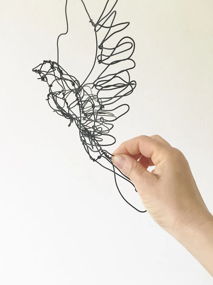 I "Draw" Using Wire